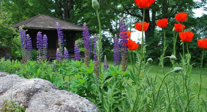 Formal Gardens