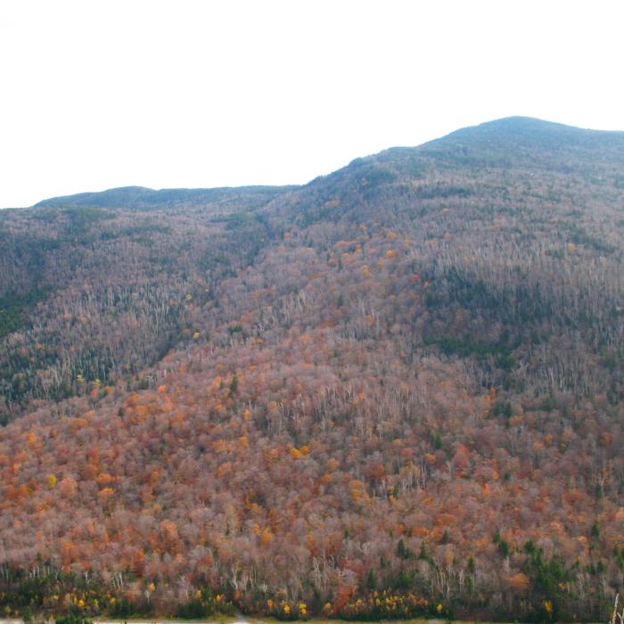 A ridge near Lost River.