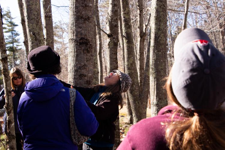 A group of women looks up into the tree tops while another woman speaks to the group.