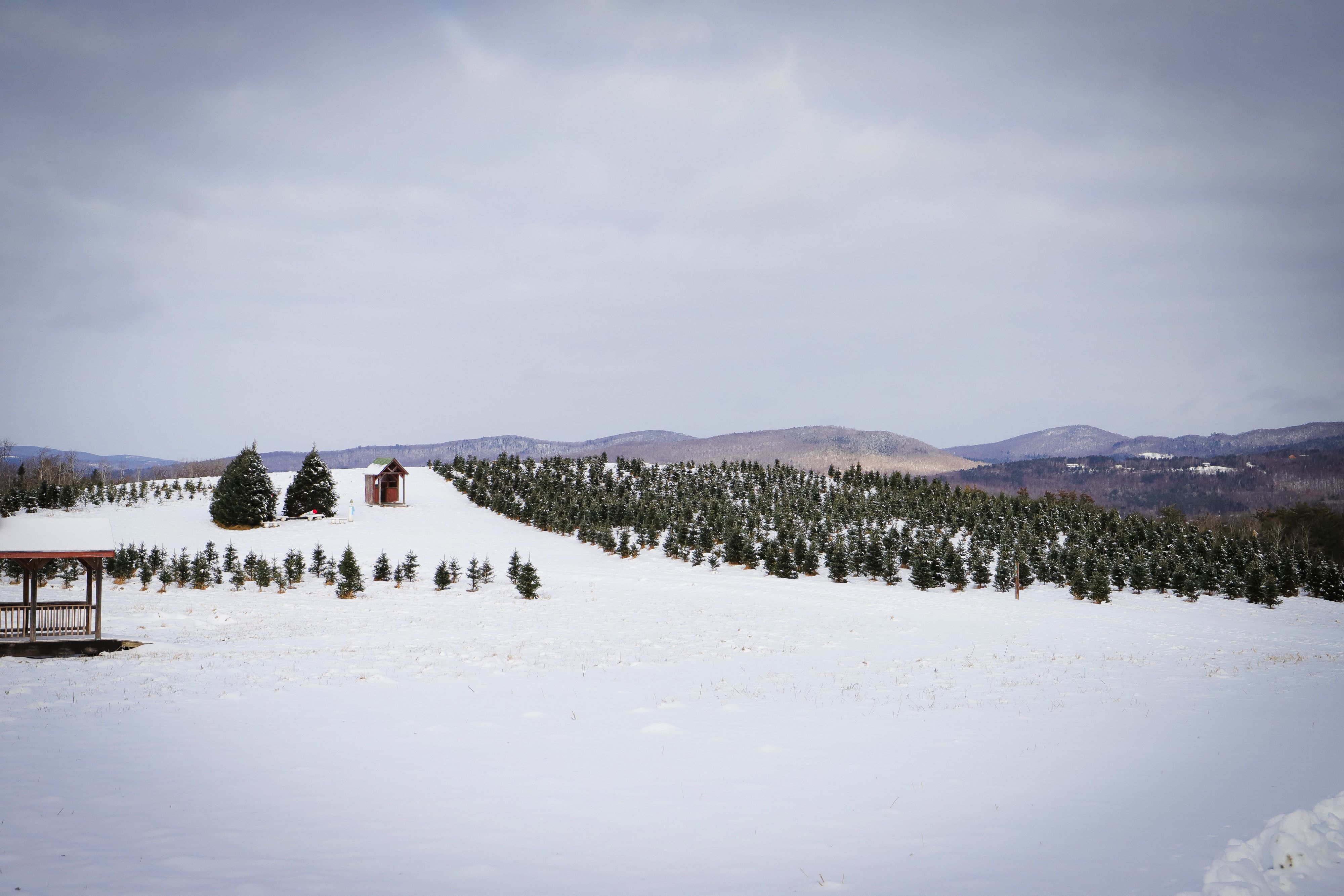 A view of The Rocks after the first snowfall. 