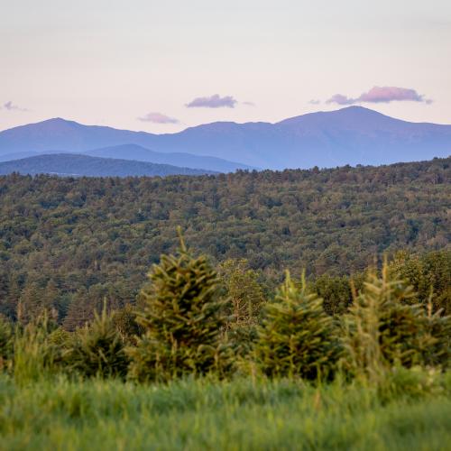 Mountain view from The Rocks