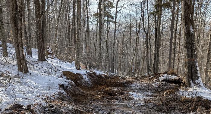 A winter logging trail covered in ice and snow. 