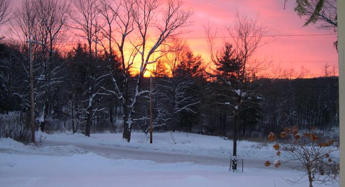 Pink and orange sunset over bare branched tree tops.