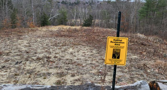 Yellow sign reads "habitat restoration area" in front of meadowed clearing