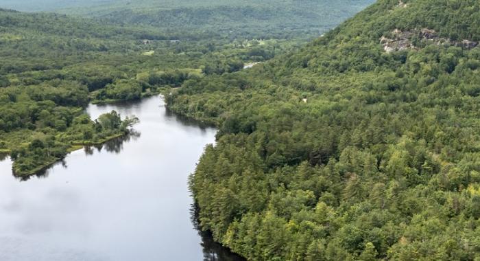 Shelburne Forest