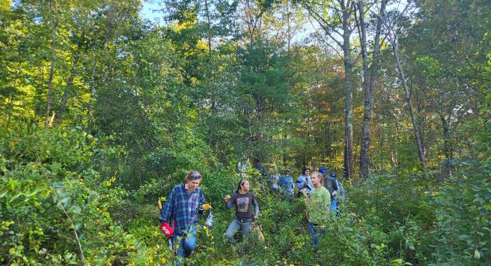 New England Cottontail Habitat Management