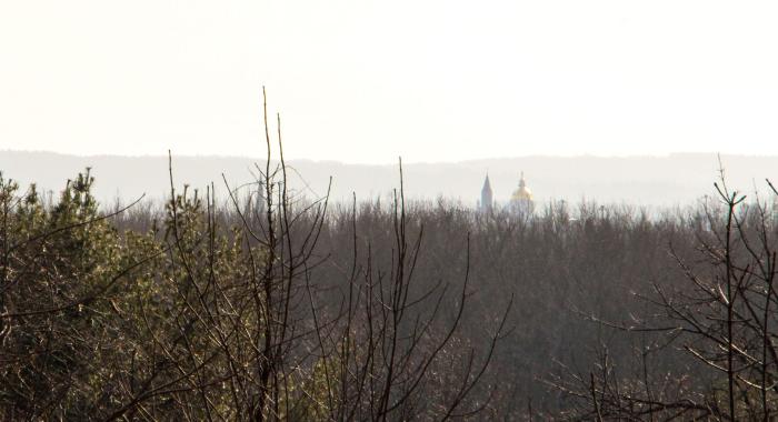 NH Gold Capitol Dome and church steeple in mist surrounded by bare tree tops