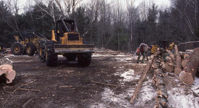 Harvest landing with skidder and logger next to pile of low grade wood