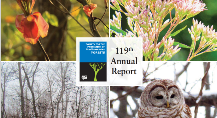Part of the cover of the Annual Report featuring photos of wildlife.