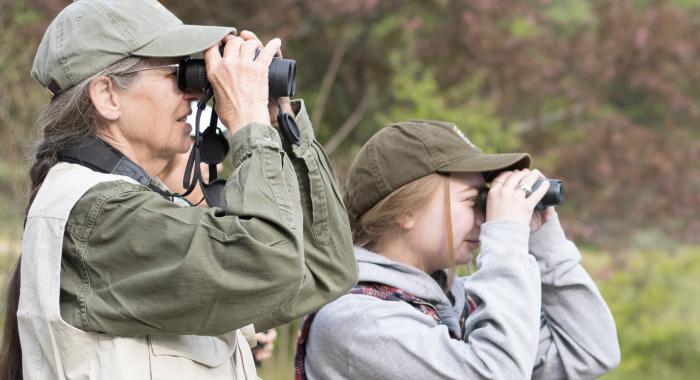 Women in the woods look for birds through binoculars.