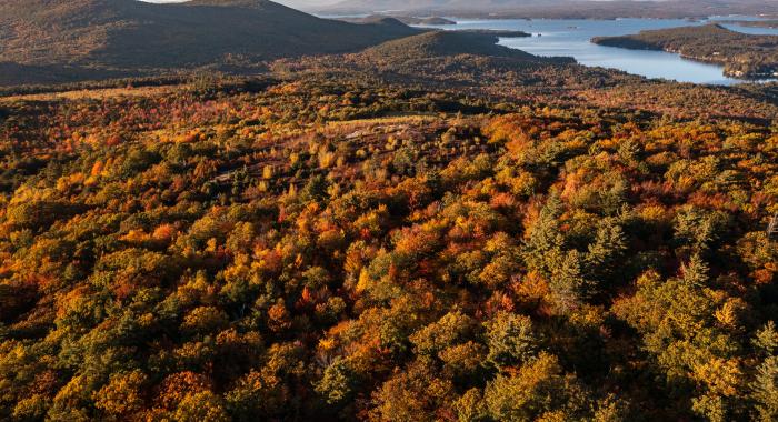 A birds eye view of Morse Preserve in fall.