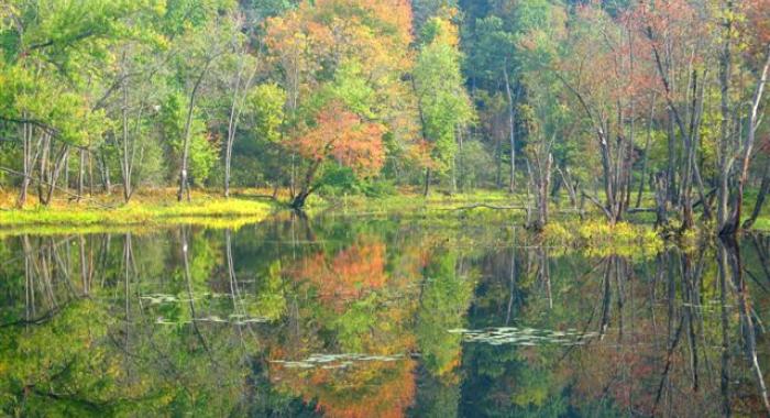 Fall foliage on the floodplain is reflected on the Merrimack River.