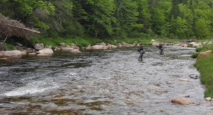 Fly fishing Ammonoosuc River Forest Project SPNHF