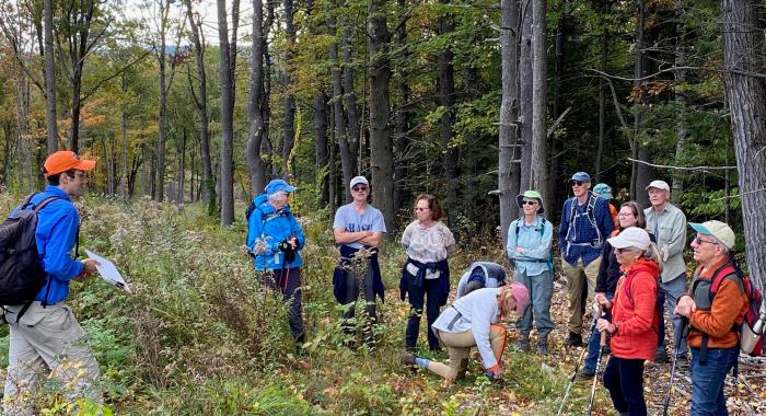 Colorful attire of Forest Society hiking group survey the edge of white pine woods on right side overlooking a clearing of dry goldenrod on left side managed for insect pollinators