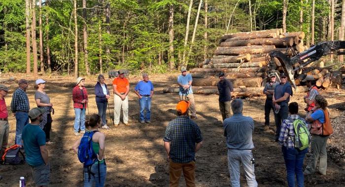 People machinery log pile Lamprey River Forest