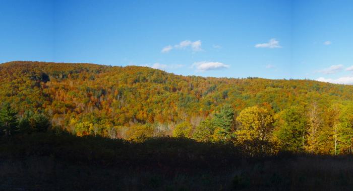 Fall Foliage at Moose Mountains