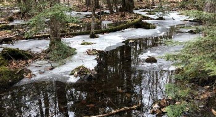 Part of Lake Massabesic in the woods, covered with snow.