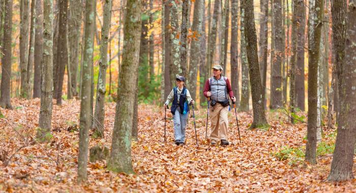 Two people walk through autumn woods.