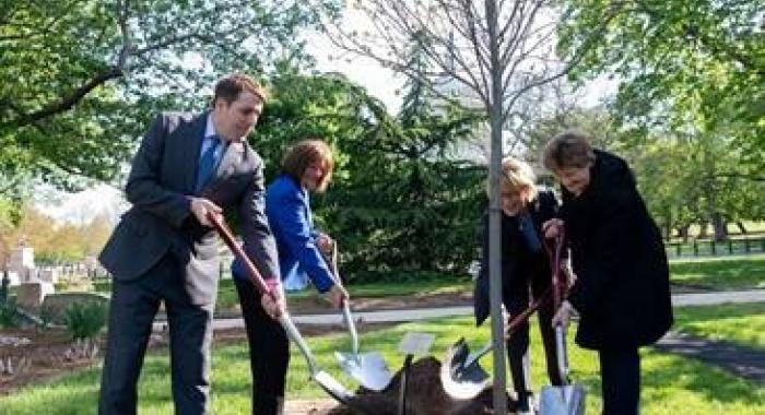 NH state representatives filling in soil around a new tree