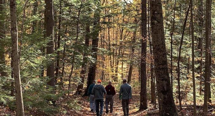 A group including the Tree Farmers of the Year walks down a leafy path.