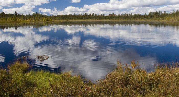 small pond surrounded by evergreens, blue sky with clouds reflected on still pond