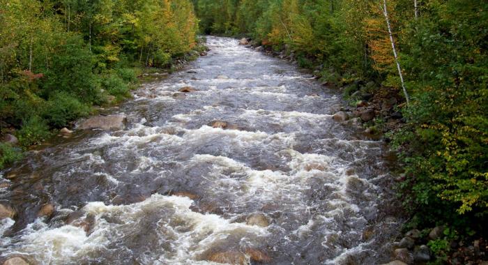 Bubbling gurgling river edged by green forest, pale blue mountain in distance