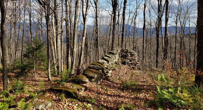 Old stone foundation - stone wall - rock wall - woods – forests