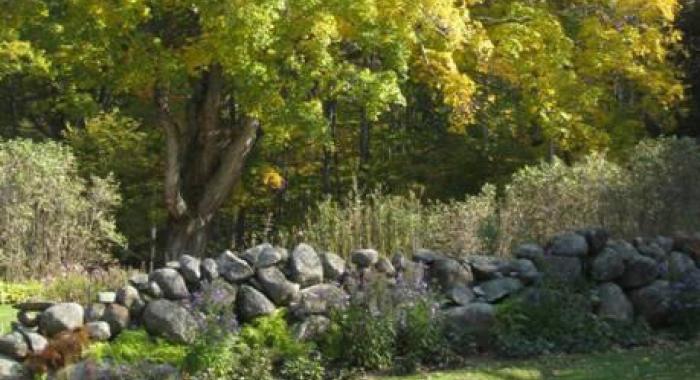 A stonewall runs through a green field surrounded by trees.