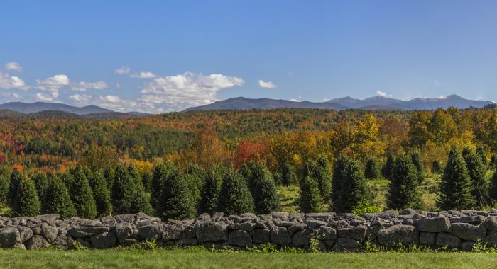 Autumn panorama from The Rocks.