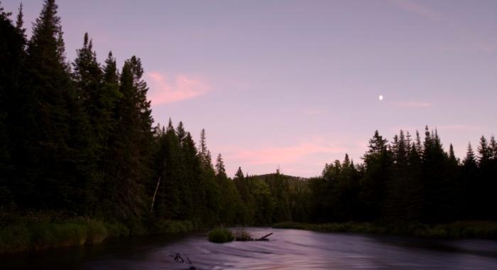 A purple sunset on water in Washburn Forest.