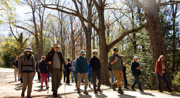 A line of hikers make their way down a gravel road towards the camera. 