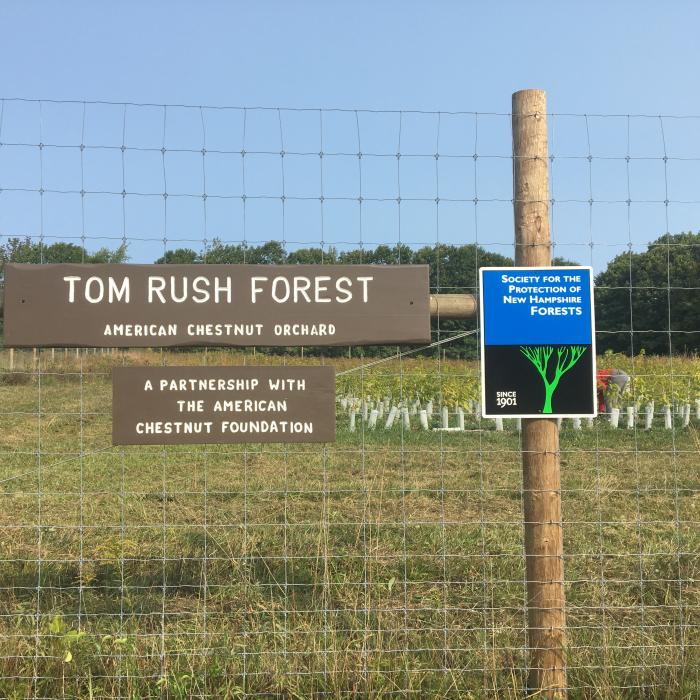 Fence and signage at Tom Rush Forest Chestnut Orchard
