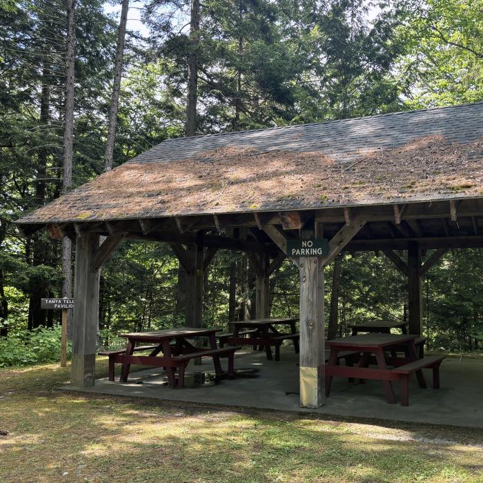 The Tanya Tellman pavilion in the woods.