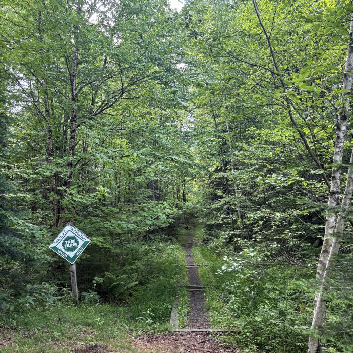 A path at Bretzfelder Park has a Tree Farm sign at the beginning.