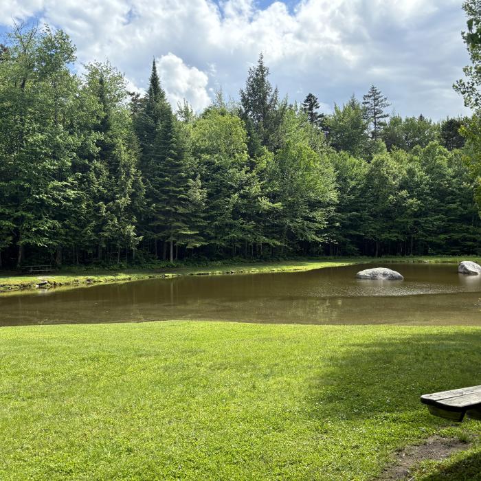 A picnic table next to a small pond in the forest.