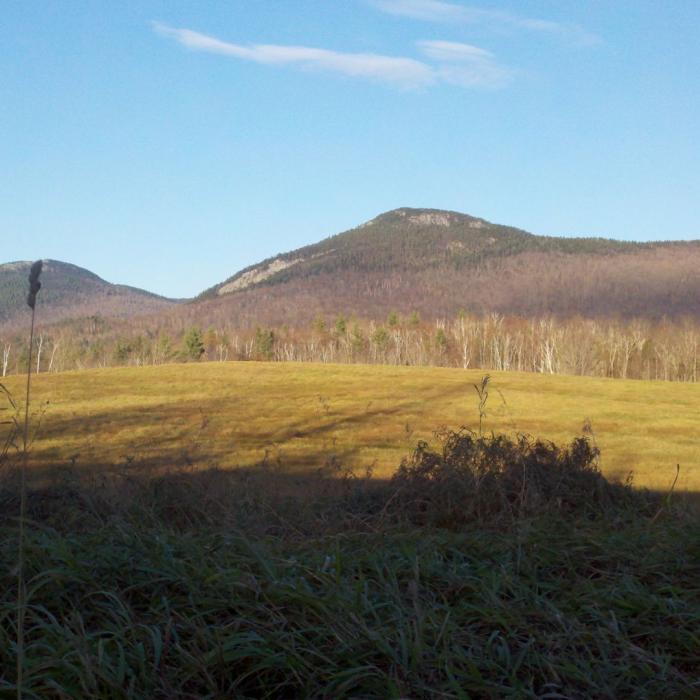 Kingsbury Timber Chippewa Trail Lot Forest Society