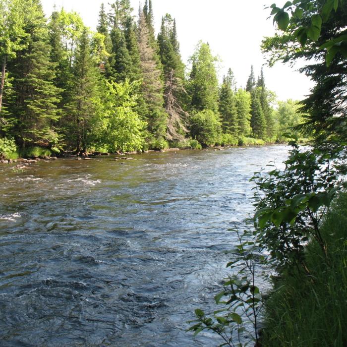 A river runs through the forest.