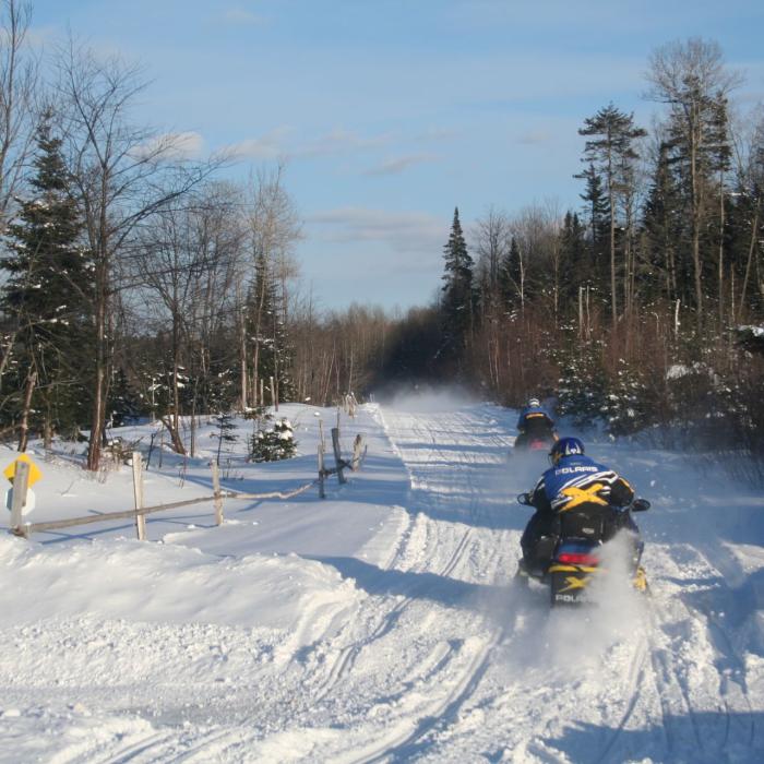 Snowmobile tracks along a trail in winter.