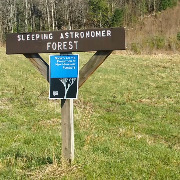 The Forest Society sign at the Sleeping Astronomer forest, with the rock formation in the far background.
