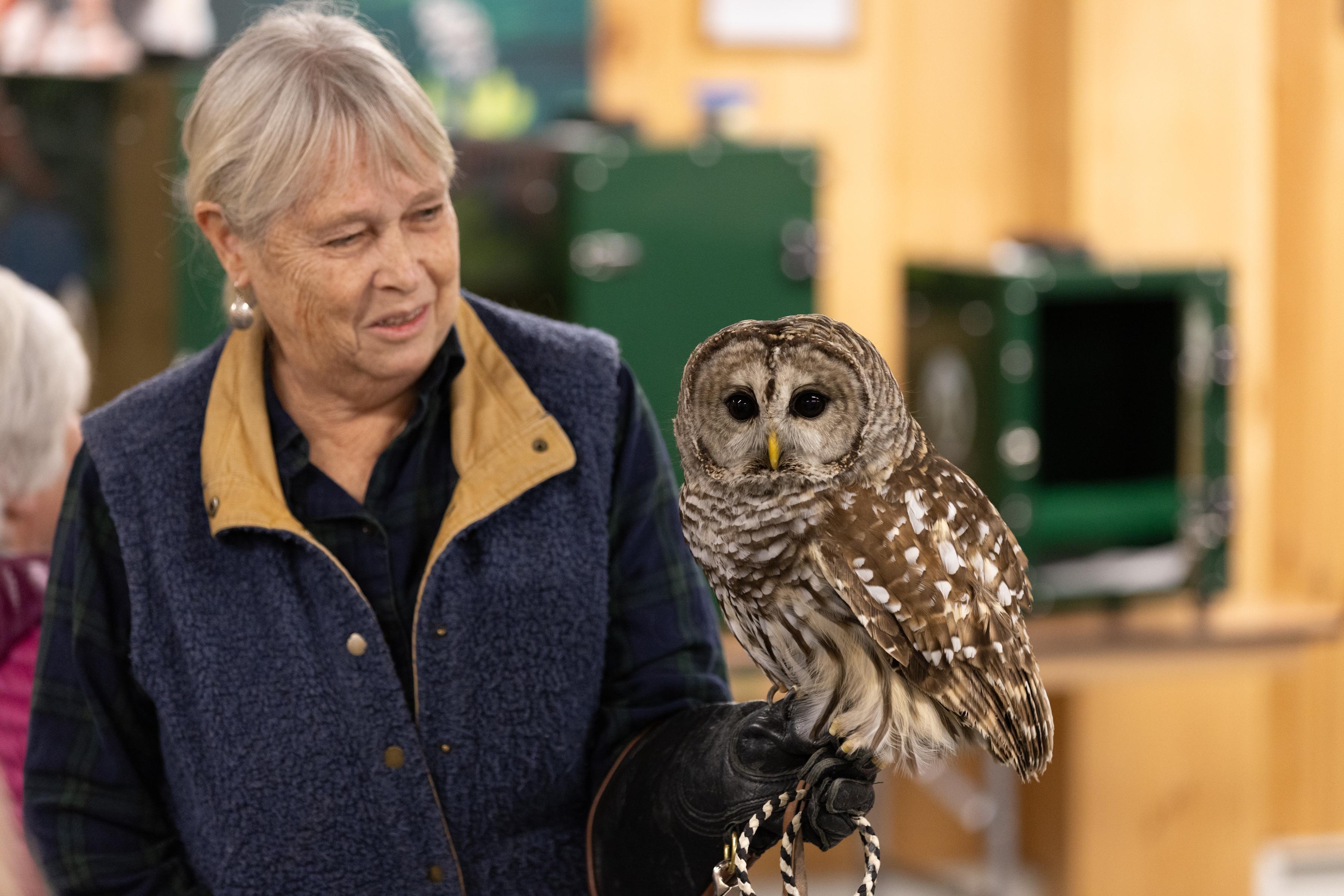 A volunteer holds a barred owl ambassador.