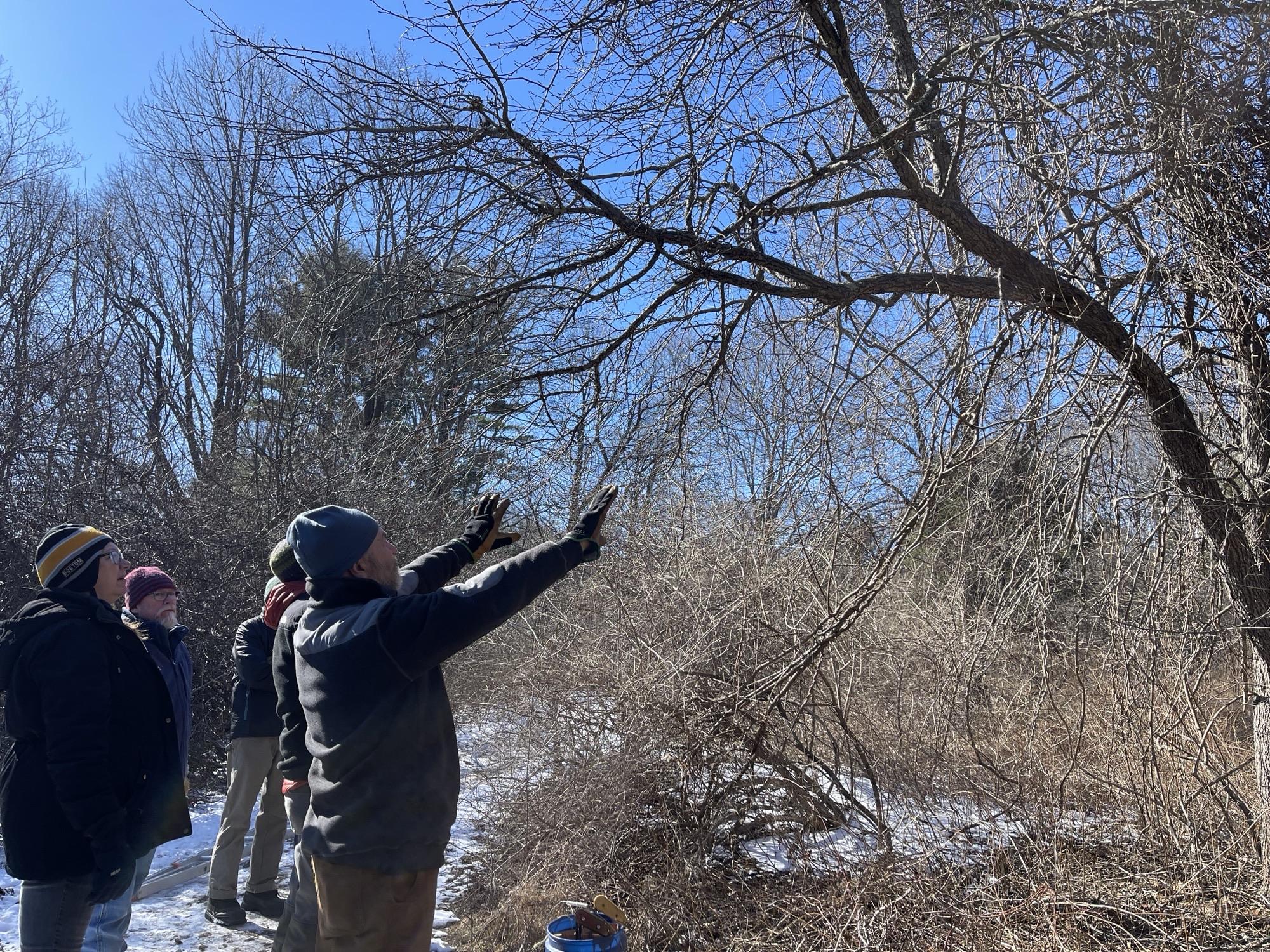 Pruning Workshop