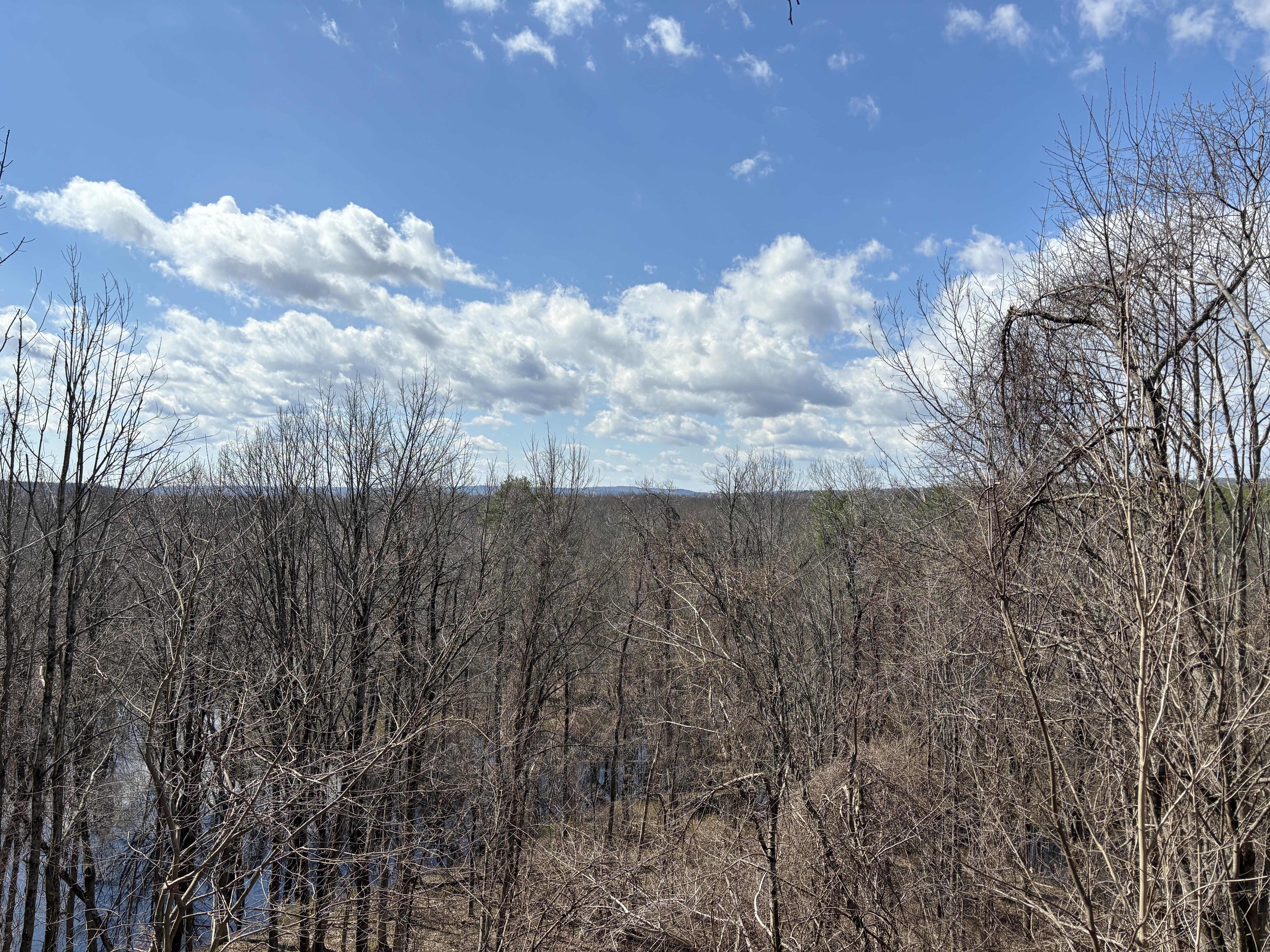 Spring views from the Conservation Center in Concord.