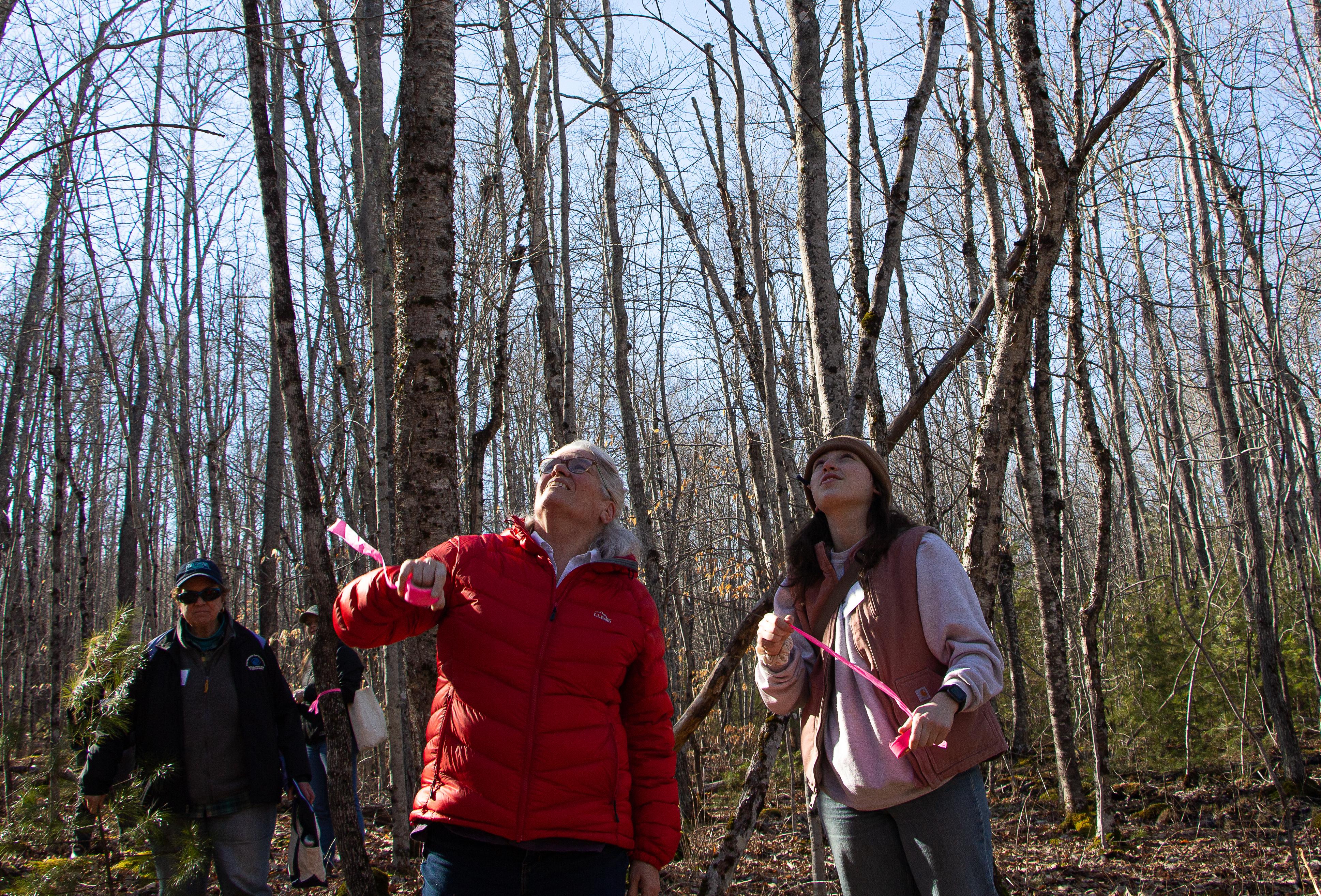 An older and younger woman hold pink flagging tape and look into the forest canopy. 