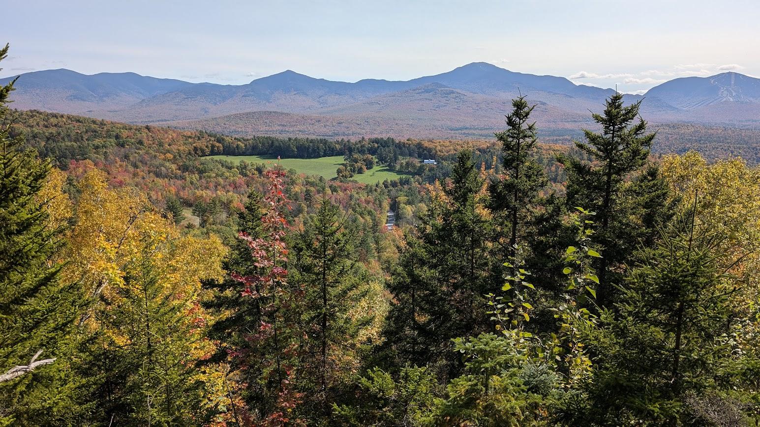 Fall views from Johnson-Clark forest.