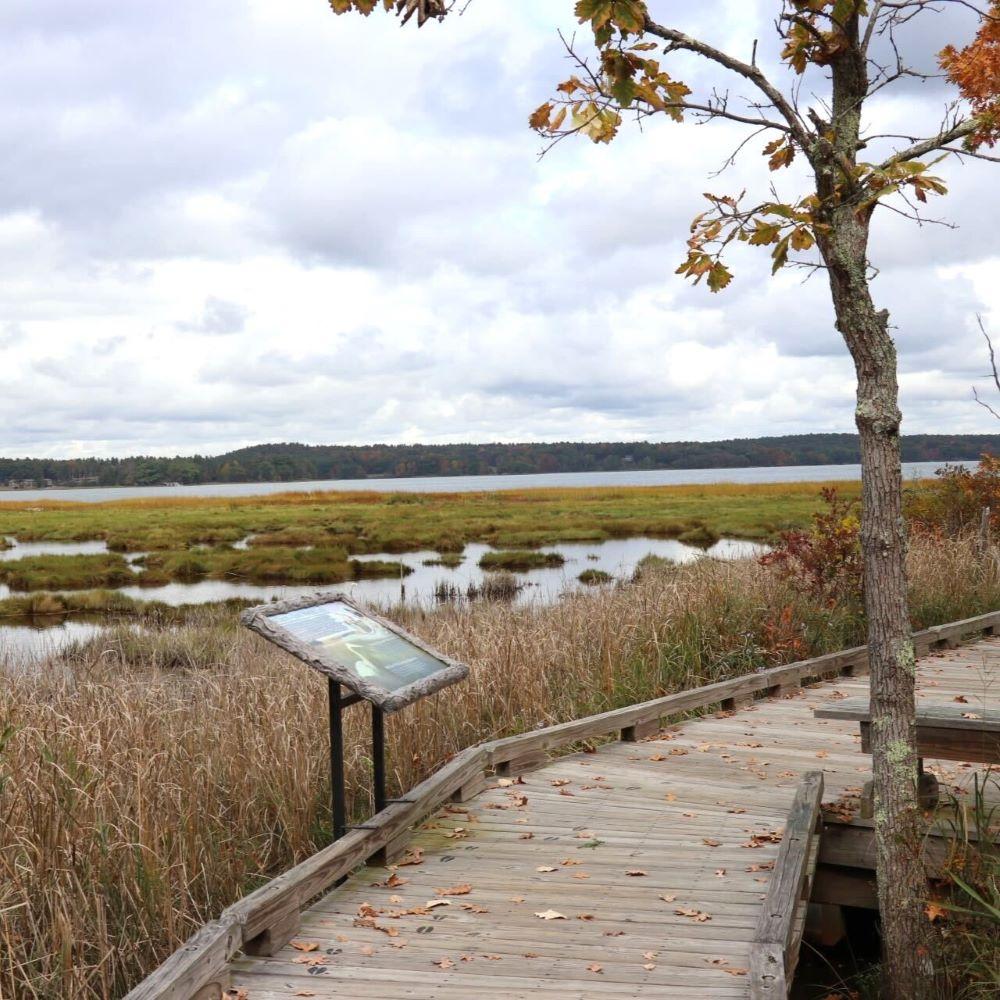 A view of Great Bay from the boardwalk.