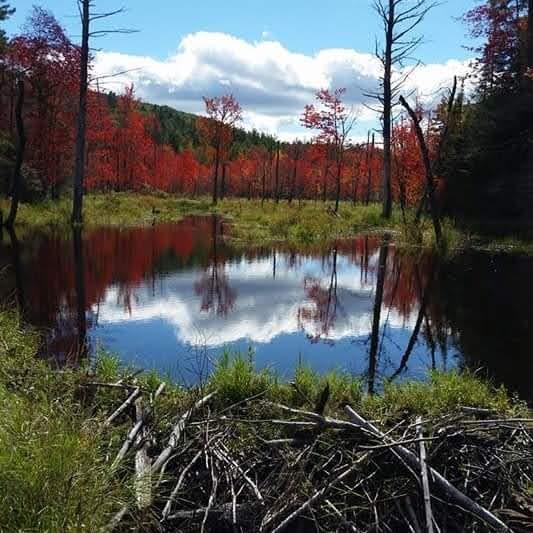 sky reflected in still water with peak fall foliage in background