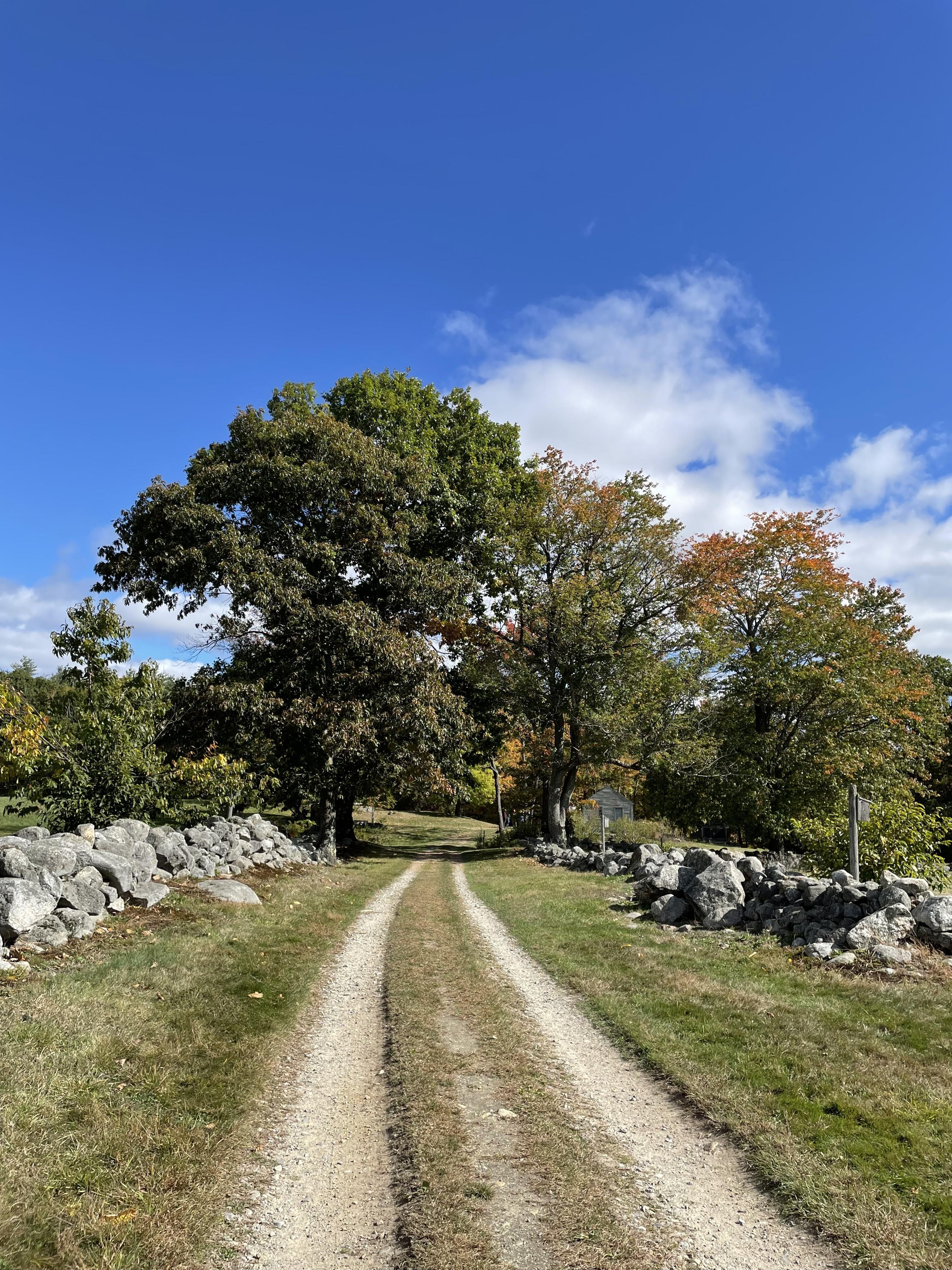 A long dirt road runs through a field lined by stone walls. 