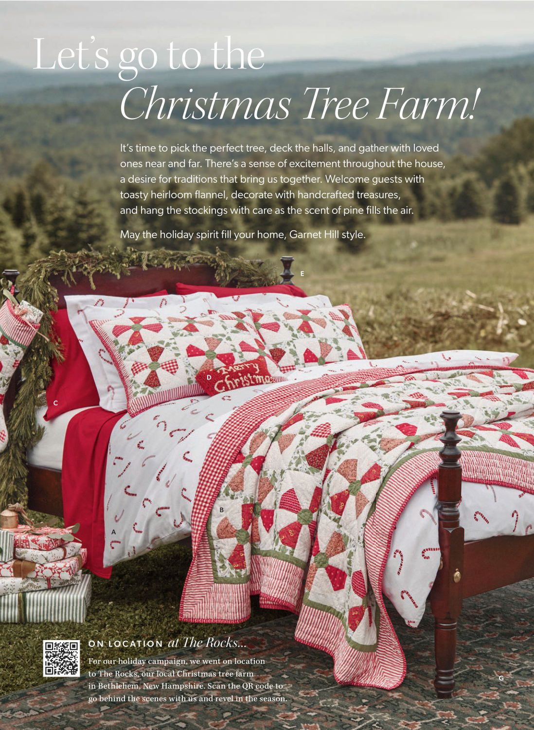 A bed in the middle of the Christmas tree fields.