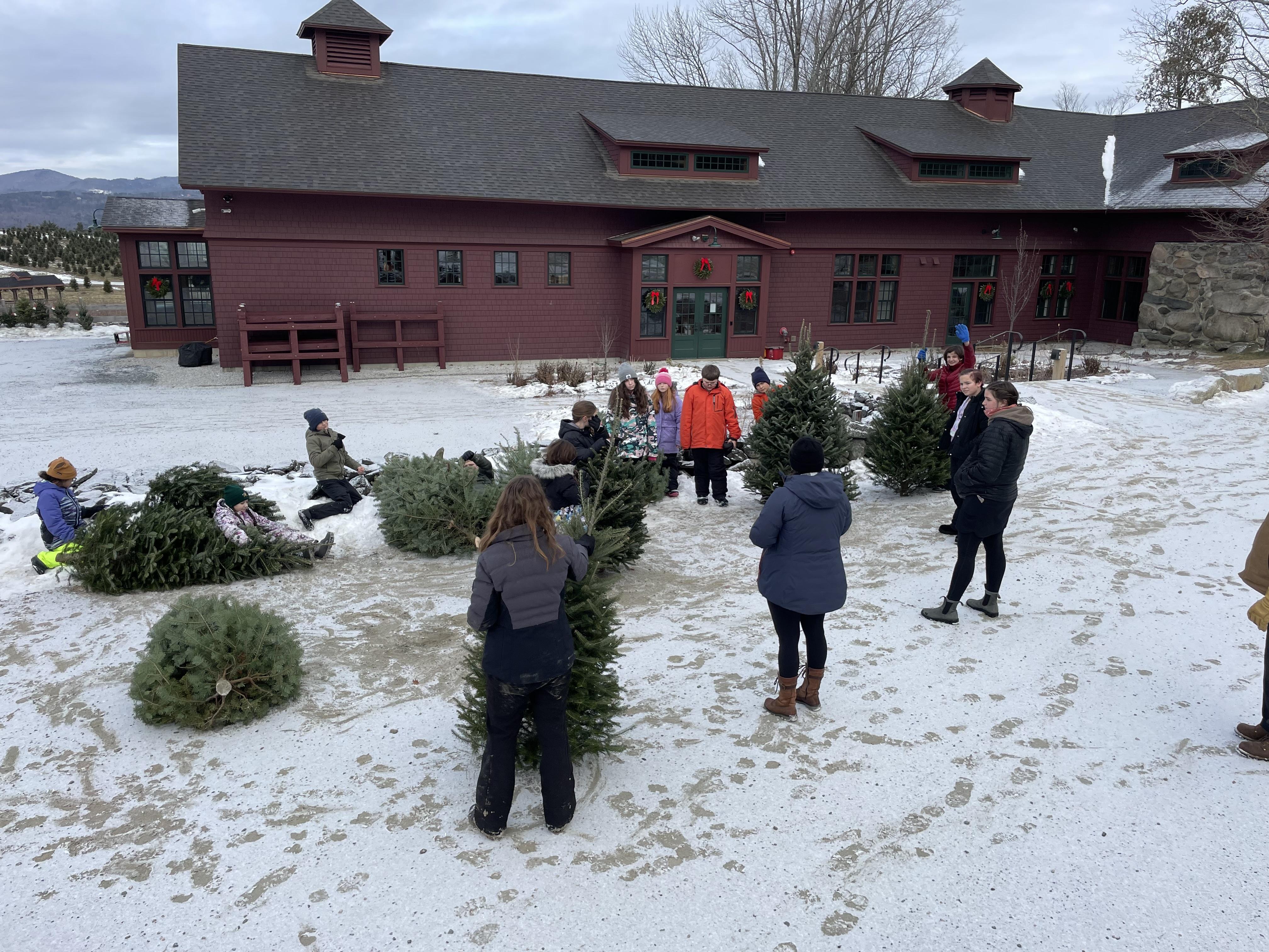 A group of children stand in front of a red barn with their harvested Christmas trees. 