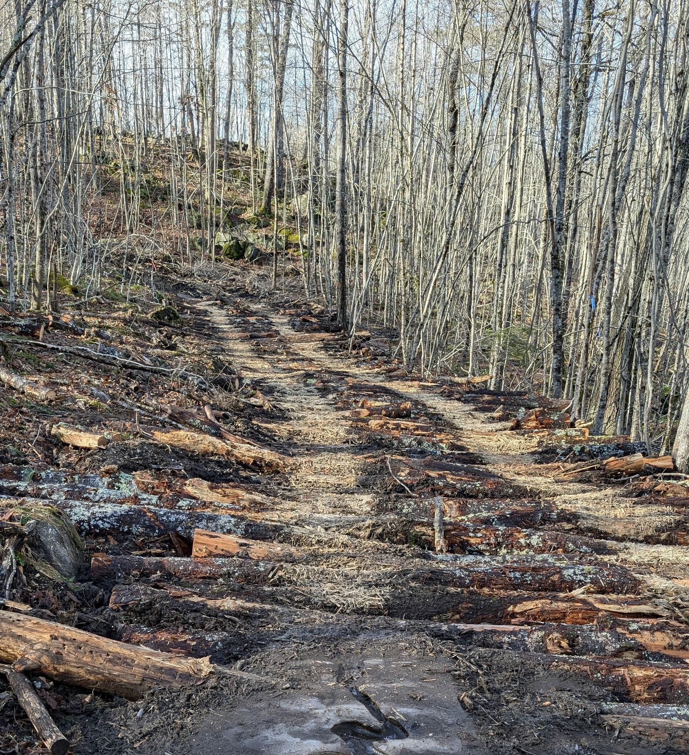 A logging track with logs laid horizontally across the path. 